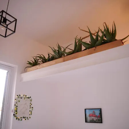 Le Cupole Di Ballaro Апартаменты Палермо